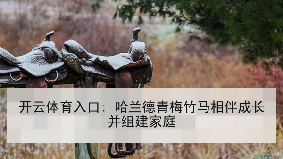 开云体育入口: 哈兰德青梅竹马相伴成长并组建家庭 开云体育入口: 哈兰德青梅竹马相伴成长并组建家庭